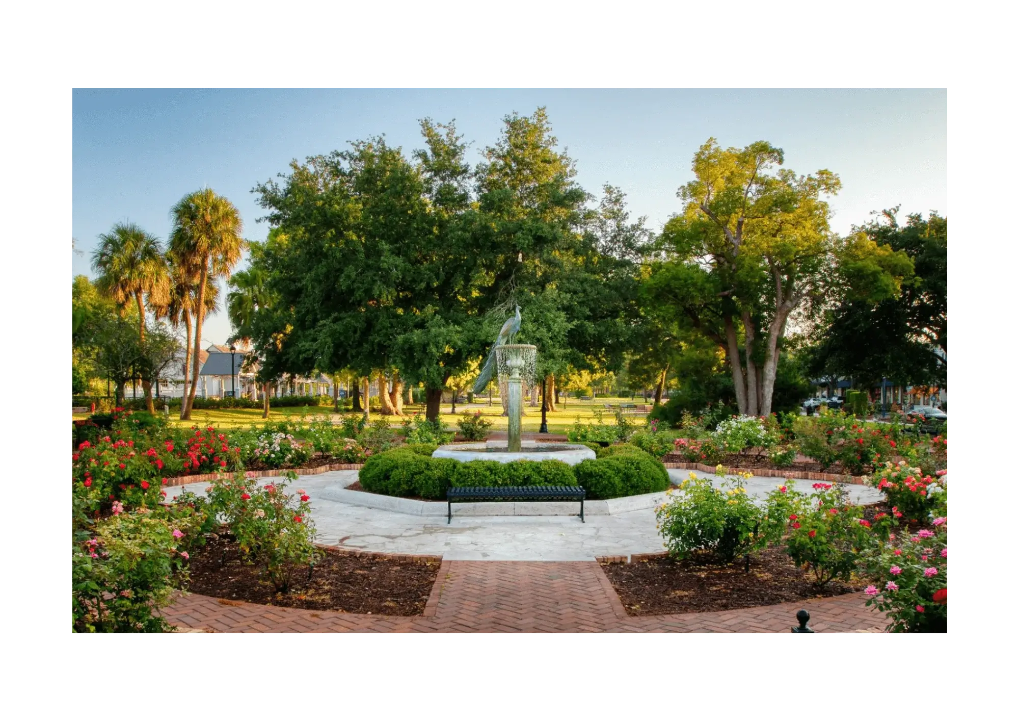 Combo Location Image